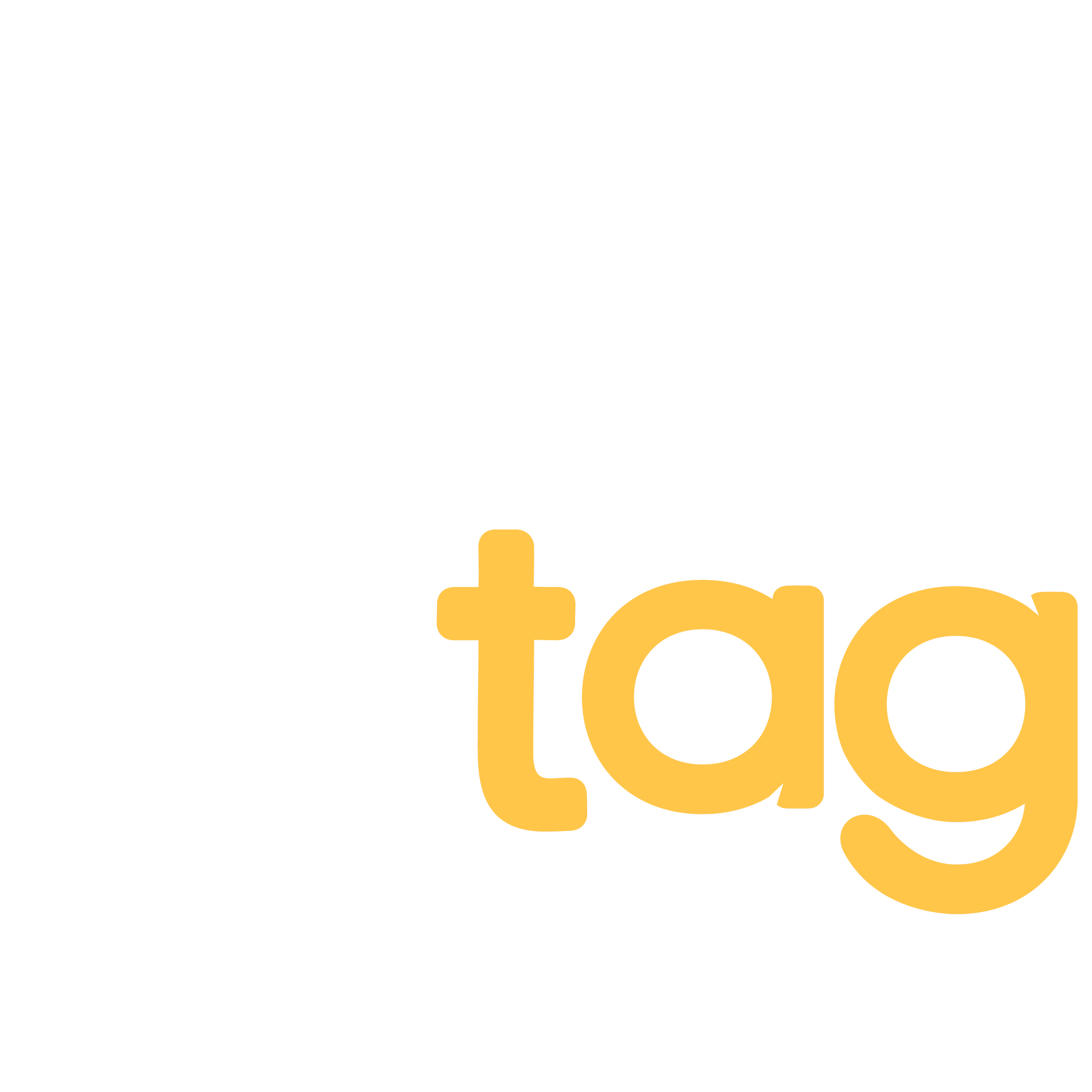 Flash Tag: Impulsa tu Presencia Digital